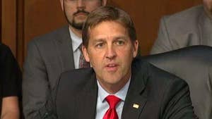 Republican senator from Nebraska says Congress too often punts its power to the executive branch to avoid taking responsibility and promote reelection.