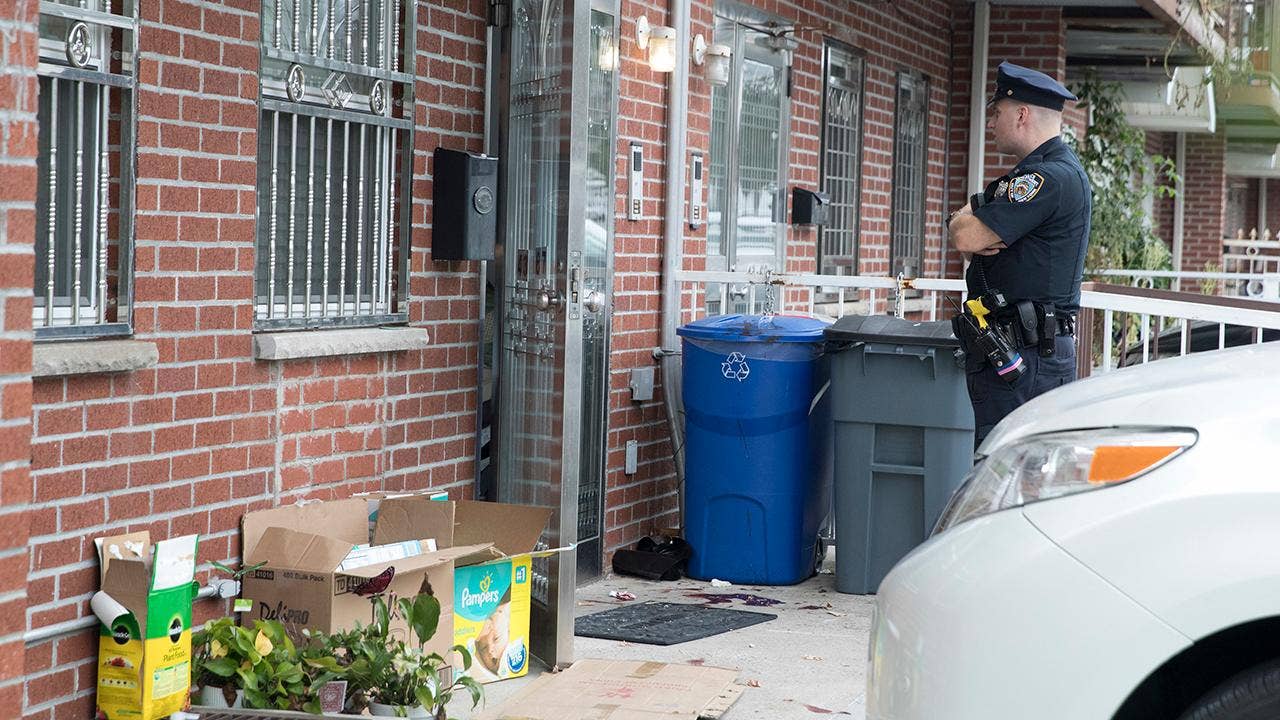 Woman charged in NYC stabbing at suspected birth tourism site says she mistook newborns for wolves: report