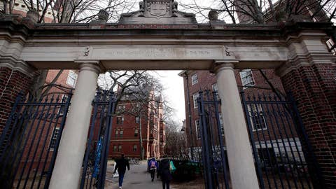 Harvard grad says she'll 'stab' anyone who says 'all lives matter,' later reveals death threats over 'joke'