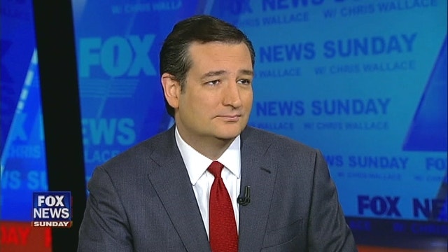 Sen. Ted Cruz Talks Gun Control, Stance on Issues