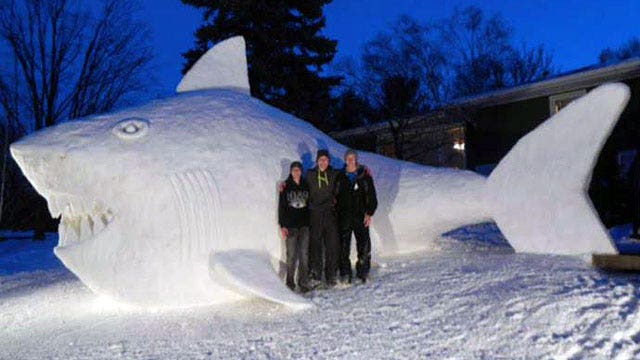 Brothers build 16-foot snow shark in parents' front yard