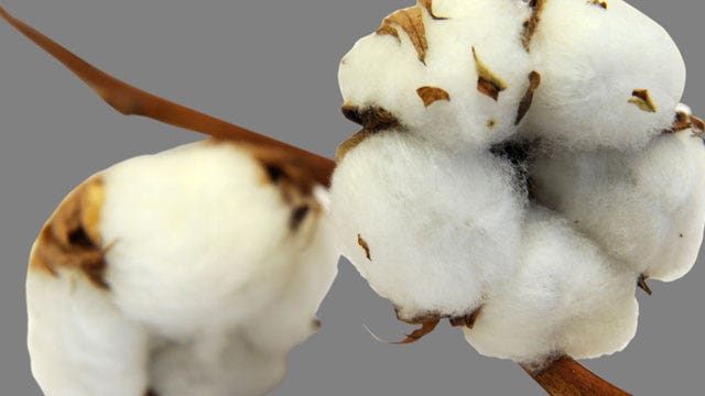 Scared of cotton: Normal or Nuts?