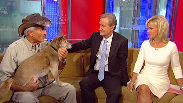After the Show Show: Animal expert