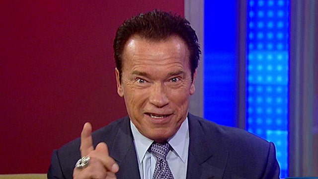 Schwarzenegger's 'Last Stand'