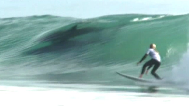 Dolphins crash California surf competition