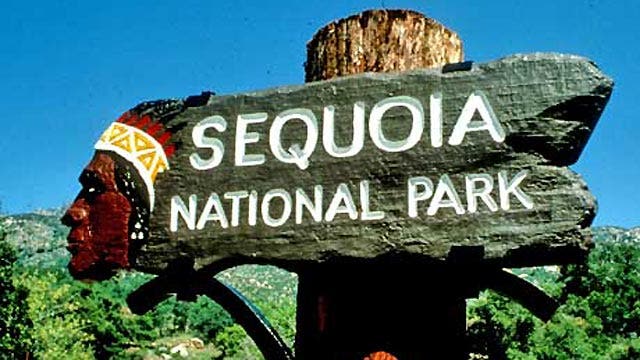 Sequoia National Park In 5