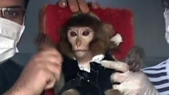 Iran claims it safely sent a monkey into space, back