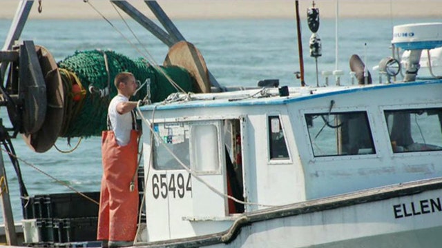 Are government regulations drowning the fishing business?