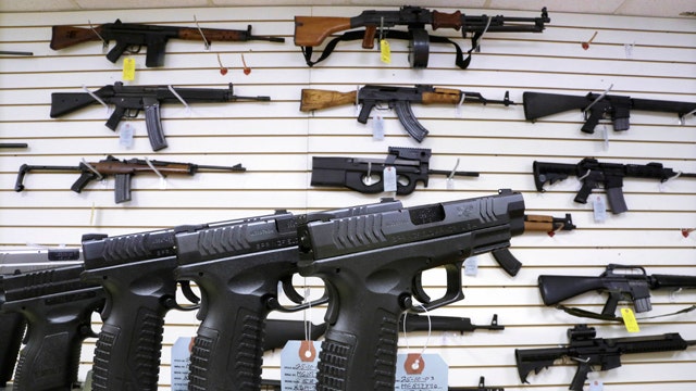 Questions on how to stop mentally ill from getting guns