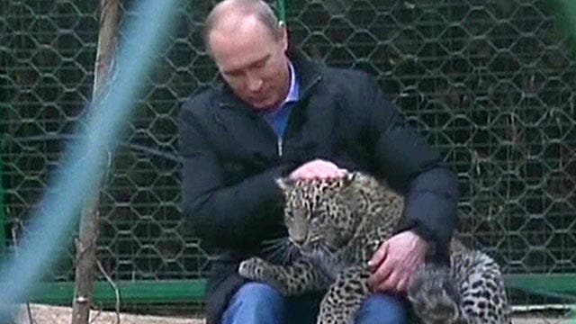 Grapevine: A softer side of Vladimir Putin