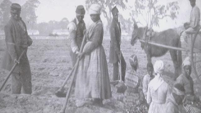 South Carolina's first free slaves