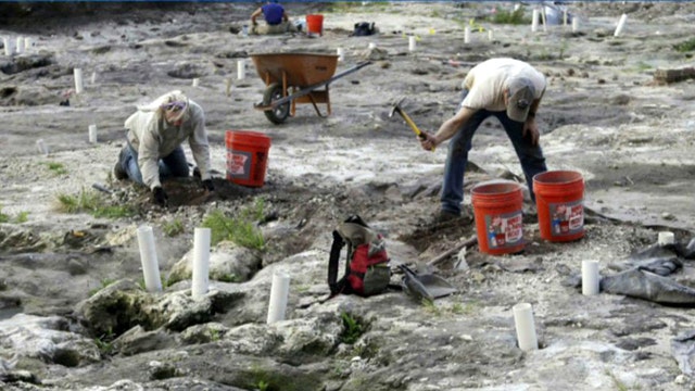 Prehistoric village found in area under downtown Miami