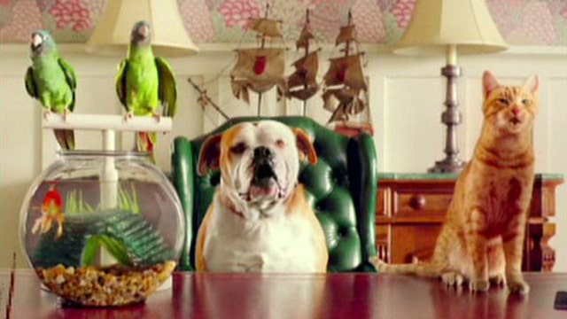 ObamaCare ad featuring talking animals strikes controversy