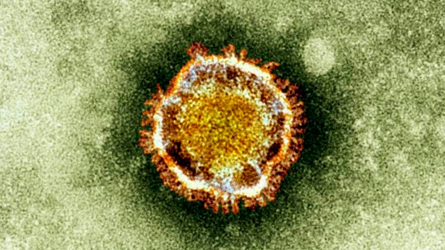 Deadly SARS-like virus spreading