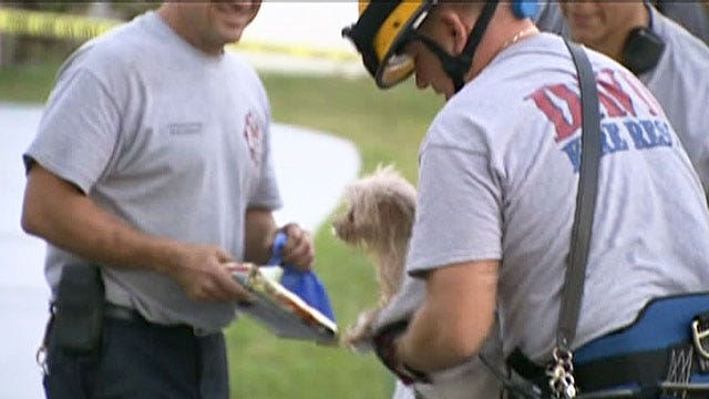 The Good, the Bad and the Ugly