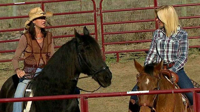 Can horses help veterans with PTSD?