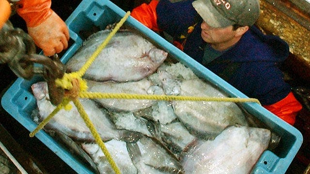 New England fishermen blast new catch limits
