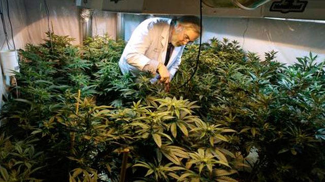 After the Show Show: Legal marijuana