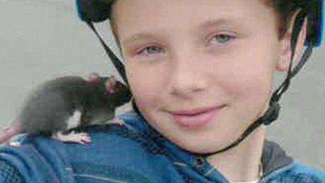 Boy's death after possible pet rat bite raises questions