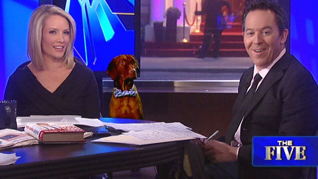 Dana Perino brings special guest onto 'The Five' set