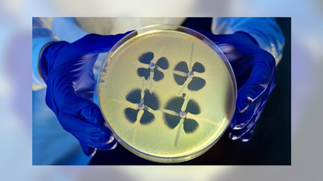 Antibiotic-resistant 'nightmare bacteria' on rise in US