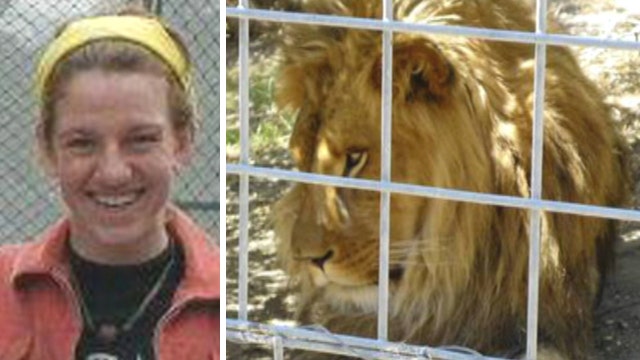 What provoked lion to kill intern at animal sanctuary?