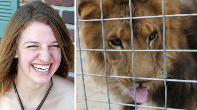 Deadly lion attack occurred after animal escaped cage
