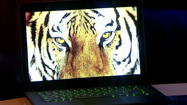 Gaming laptops aim for mass appeal