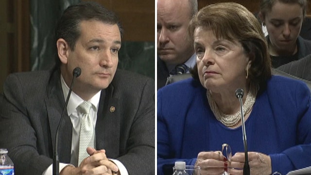 Sen. Ted Cruz grills Sen. Dianne Feinstein over gun bans