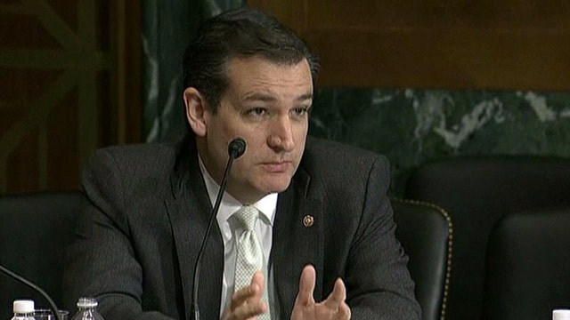 Sen. Ted Cruz on fiery hearing over gun control