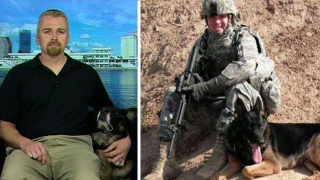 Retired US airman reunites with war dog