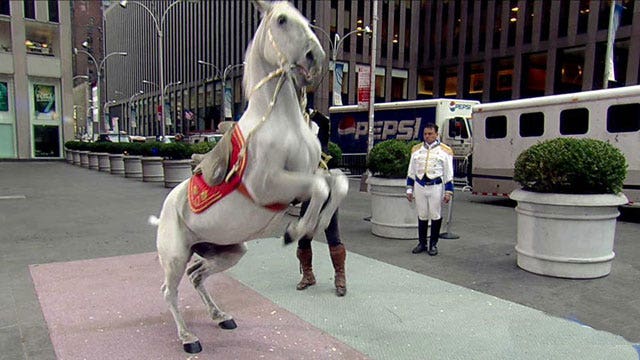 World-renowned equestrian tour comes to New York City