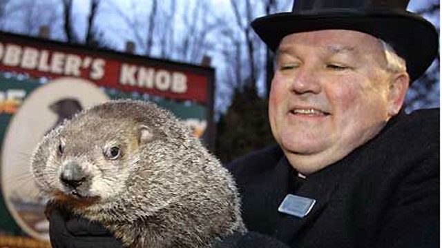 Punxsutawney Phil Indicted?