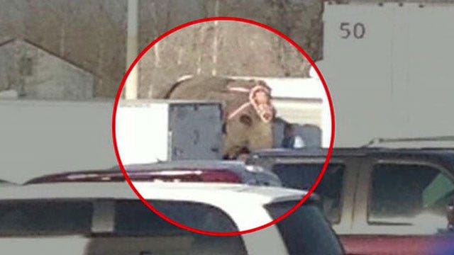 Elephants run wild in St. Louis parking lot