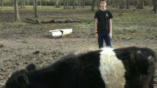PETA objects to teen’s cow raffle