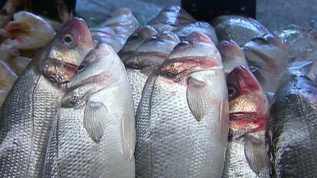 Check it Out: Ending seafood sickness in NYC basement