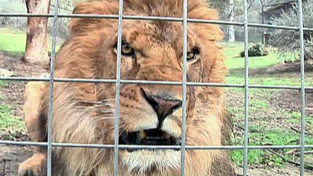 Zoo gets back at prank callers