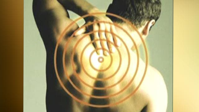 Treating back pain with adult stem cells