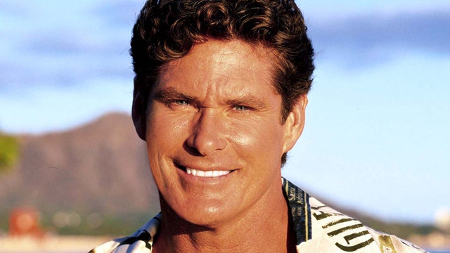 You can own David Hasselhoff