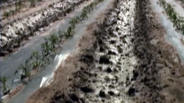 Across America: Hailstorm shreds California crops