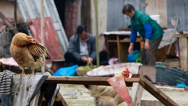 Bird flu kills in China: Should US be concerned?