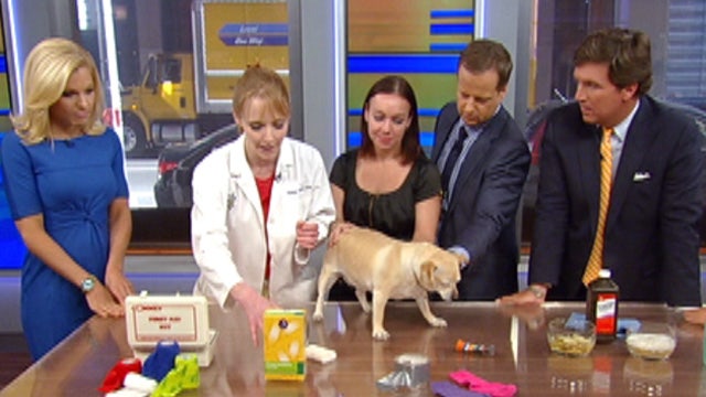 After the Show Show: Pet first aid kit