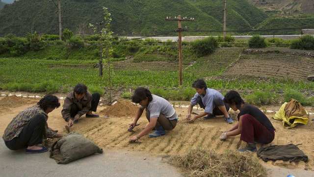 How bad is the humanitarian crisis in North Korea?