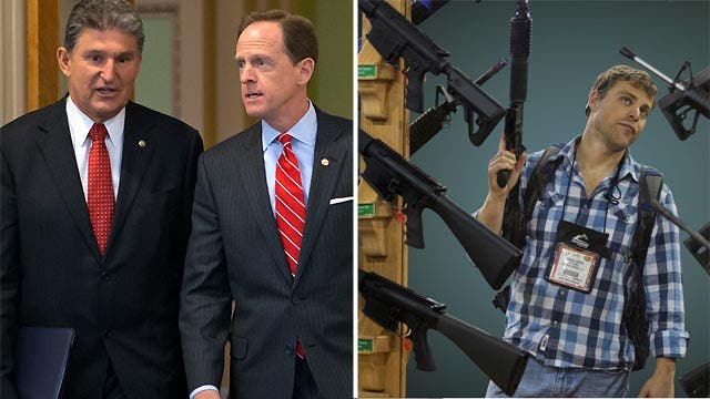 Bipartisan plan to expand background checks for gun buyers