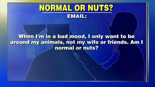 Confiding in my furry friends: Normal or Nuts?