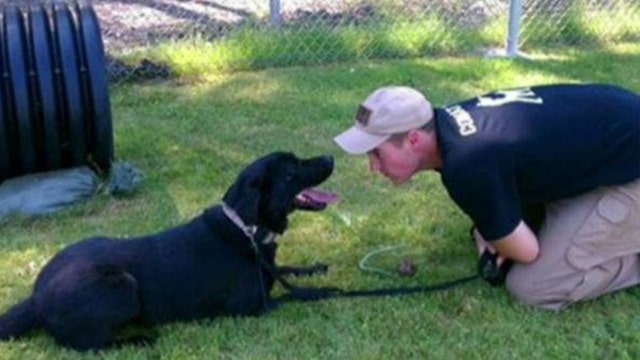 Veteran reunited with his bomb-sniffing dog 