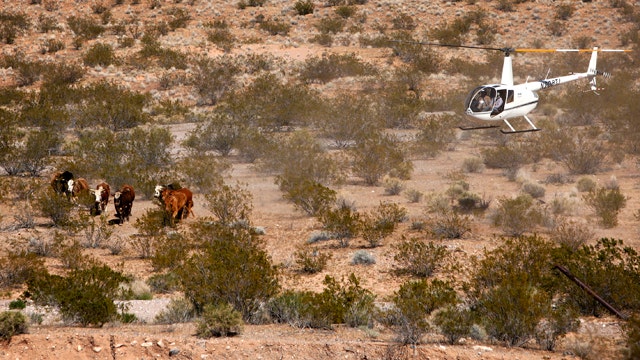 Why does the federal government own so much land in Nevada?