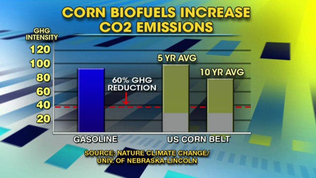 Study deals big blow to biofuel industry