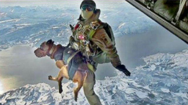 America's special operations dogs