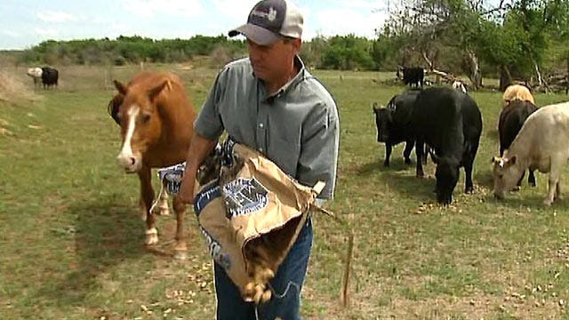 Texas rancher: Why this land is my land, not theirs